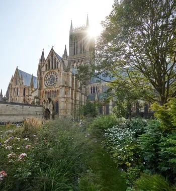 Lincoln cathedral trees.jpg